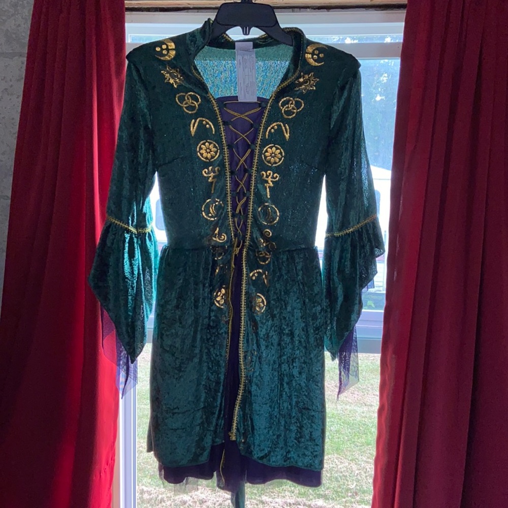 Hocus Pocus Winifred Sanderson Costume